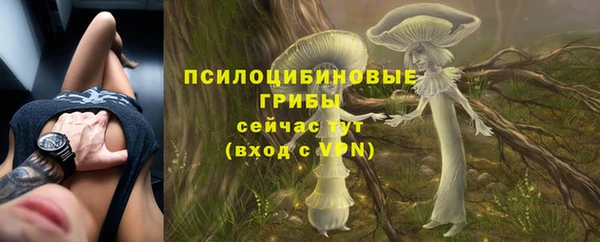 a pvp Надым