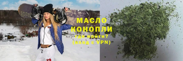 индика Бикин