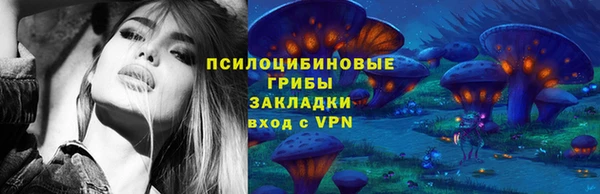 спайс Нягань