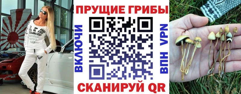 сайты даркнета формула  Нариманов  Галлюциногенные грибы прущие грибы  продажа наркотиков 